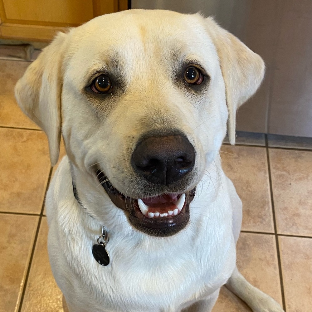 Meet your Posher, Gloria